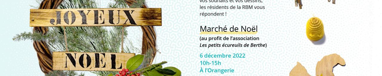 Affiche Noël Jardins à vivre EPSMlm