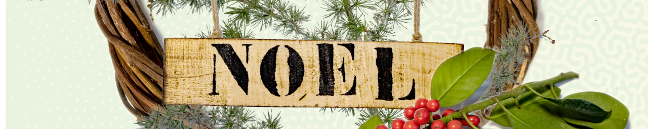 2023-11-14_Jardins-a-vivre_Animations-noel.png