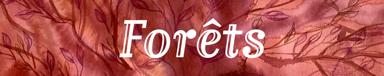 Expo Forets Galerie Frontières site ght