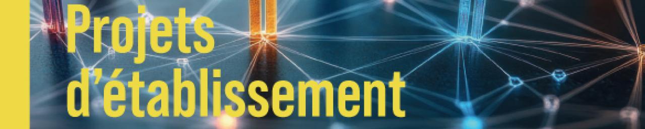 Synthèse projet d'établissement direction commune
