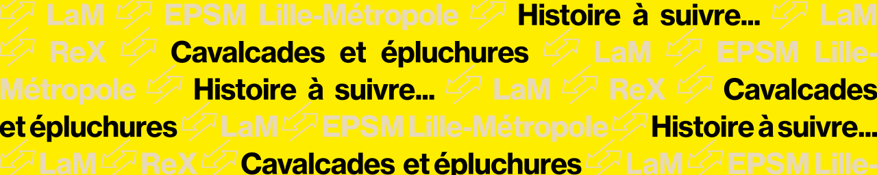 Histoire-a-suivre_Cavalcades-et-epluchures_1280_256.png