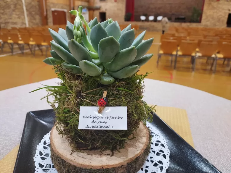 Kokedama EPSM Val de Lys Artois