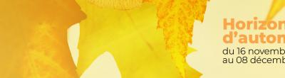 Visu_horizon_automne