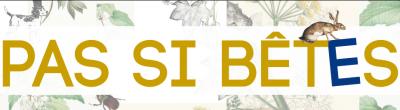 bandeau-1280X256-Pas-si-betes.jpg