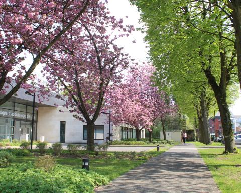 Parc de la clinique
