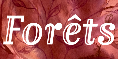 Expo Forets Galerie Frontières site ght
